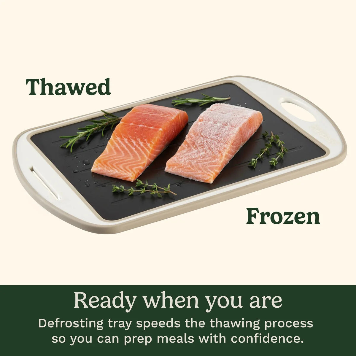 5-in-1 Thaw & Chop Tray