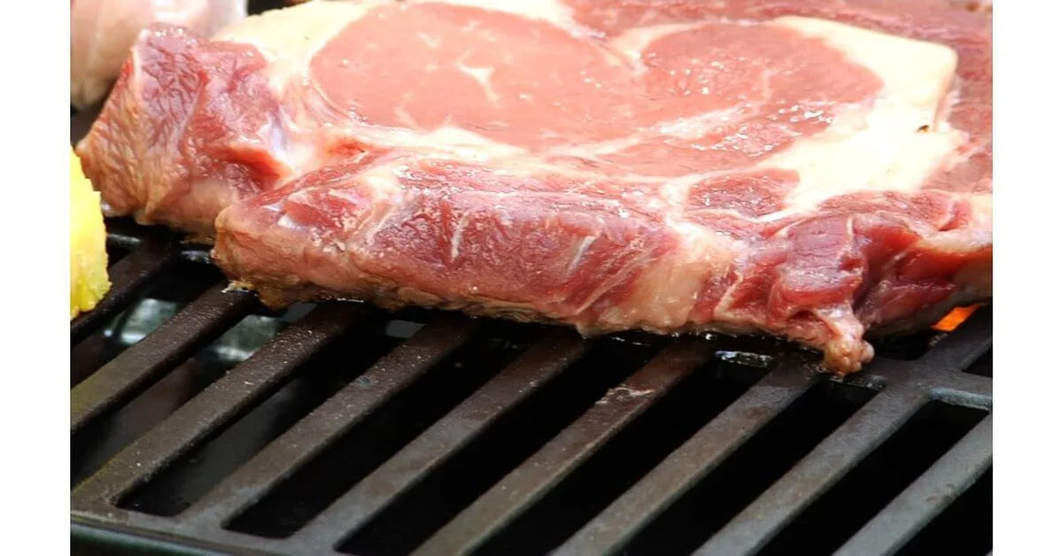 All-Foods Tabletop Gas Grill