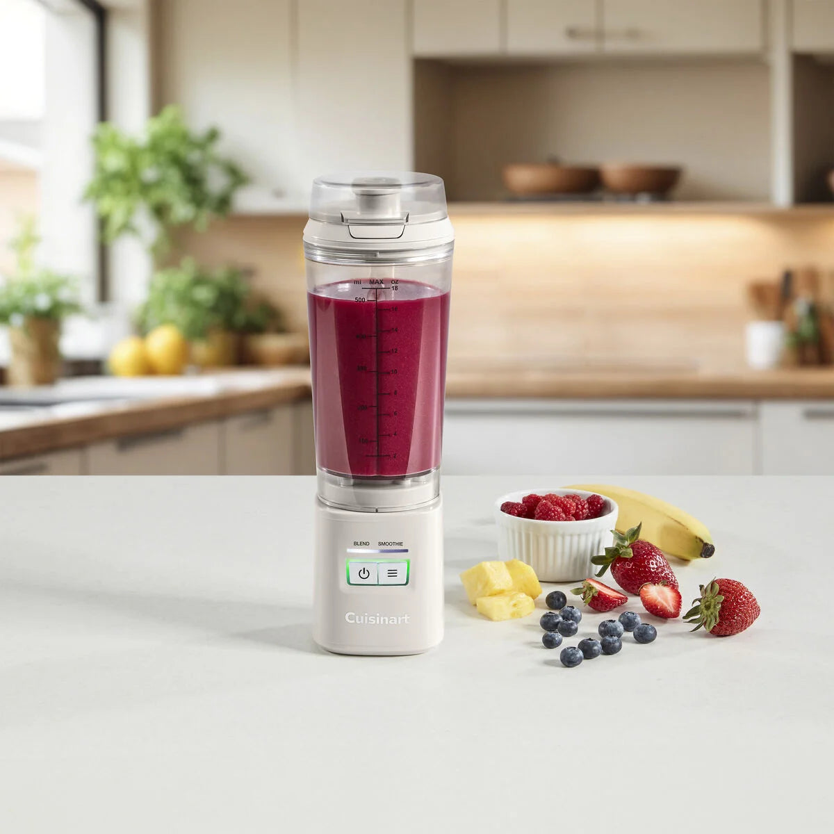 Personal Portable Blender